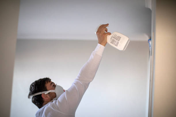 Best White Mold Remediation in Redkey, IN